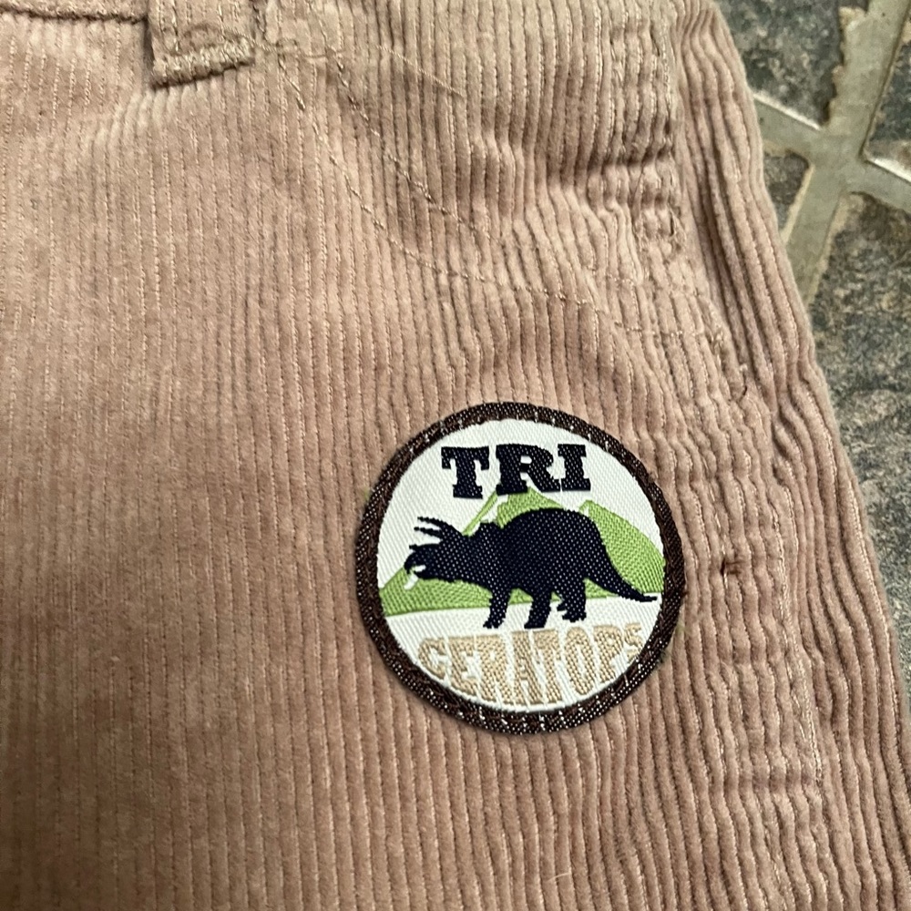 ๐ฆ Lot of 4 Item- Dino Overalls, 2 tshirts, new hat VGUC. Toddler 2T - Picture 6 of 15